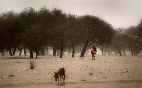 Severe drought hits Central Africa, millions are starving including many children | Cute Dead Guys