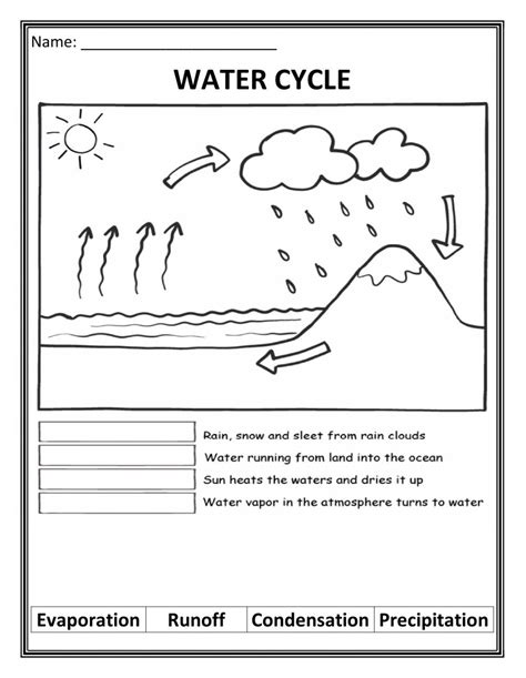 Cycles Of Matter Worksheet