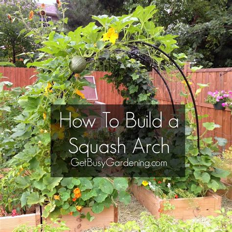 How To Build A PVC Squash/Cucumber Arch | Diy garden trellis, Squash ...