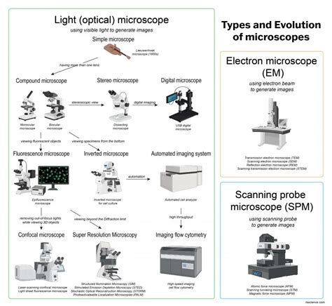 Different types of Microscopes – light microscope, electron microscope, scanning probe ...