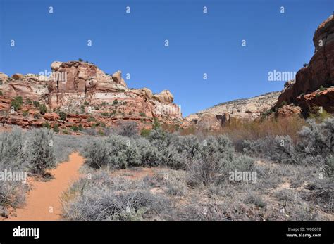 calf creek falls utah Stock Photo - Alamy