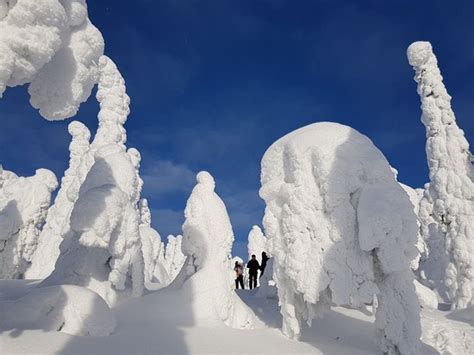 MyTrail - Kuusamo | Tripadvisor