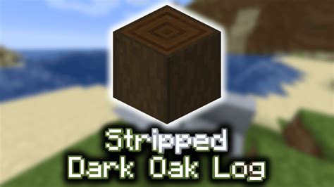 Stripped Dark Oak Log - Wiki Guide - 9Minecraft.Net