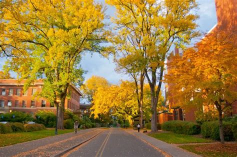 Oregon State University campus fall leaves. Saw this while browsing ...