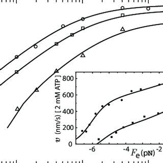 Kinesin velocity vs. ATP concentration under an external force. The... | Download Scientific Diagram