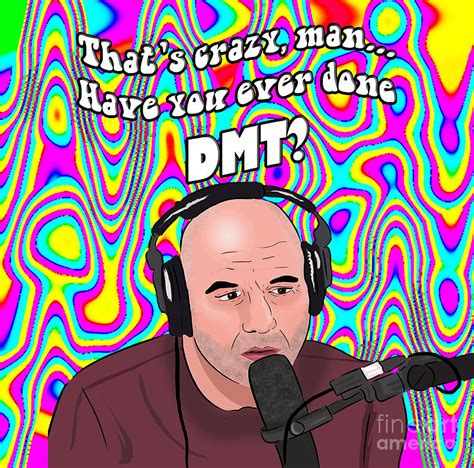 Joe Rogan DMT Meme Poster Digital Art by Ha Pham