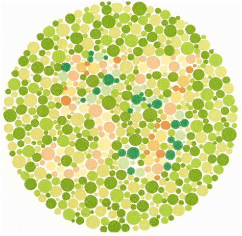 What Animals are Color Blind – From the thousands of images on the net concerning what animals ...