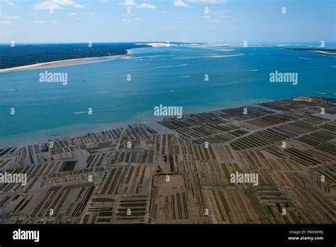 Arcachon bay oyster hi-res stock photography and images - Alamy