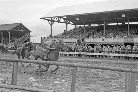 Association | Cloverdale Rodeo and Country Fair