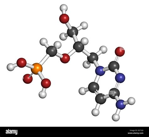 Cidofovir cytomegalovirus (CMV, HCMV) drug, chemical structure. Can ...