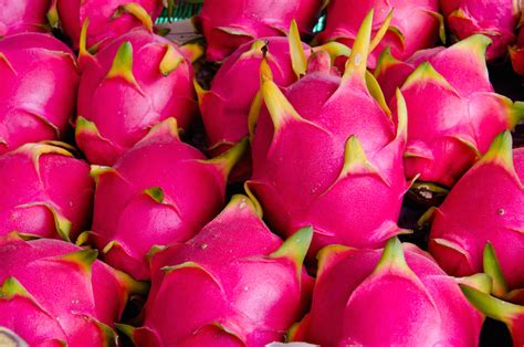 The Wonderful Benefits of 'Pink Pataya'! :: Blog :: Natural, healthy, handmade ice lollies ...