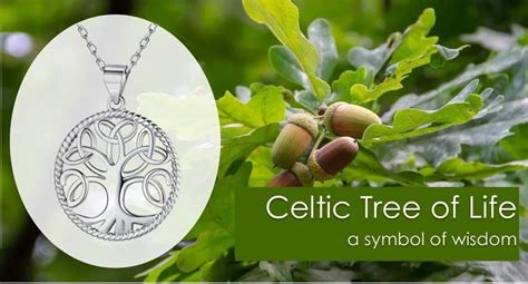 Unraveling the Enchanting Cultural Symbolism and Meaning of the Celtic ...