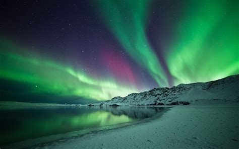 Aurora Borealis in Iceland | Northern lights, Aurora borealis northern ...