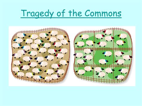 tragedy of the commons – Crash Course Criticism