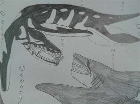 Liopleurodon vs. Megalodon Drawing by Dair Ancrile | Fine Art America