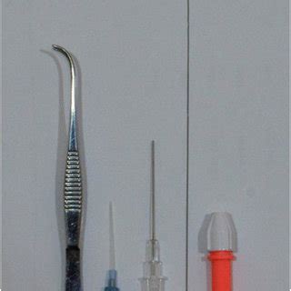 Animal placement for tracheal intubation. Panel a, the mouse was placed... | Download Scientific ...