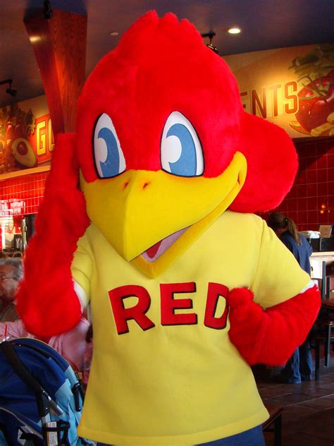 Red Robin Mascot | Red Robin Restaurant -- Tampa, Florida 33… | Gini | Flickr