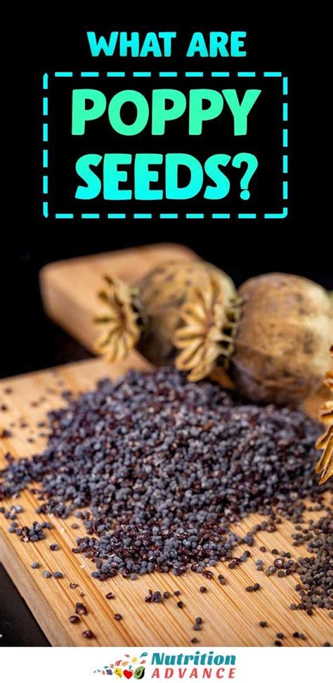 Poppy Seeds: Nutrition Facts, Benefits, and Downsides | Poppy seeds benefits, Poppy seeds, Poppy ...