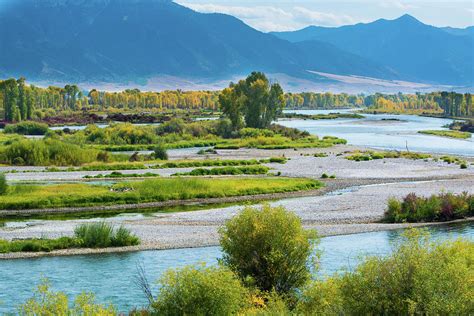 Swan Valley Photograph by Rhonda Christensen - Fine Art America