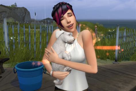 How to Adopt a Stray in The Sims 4: Cats & Dogs | Pleasant Sims