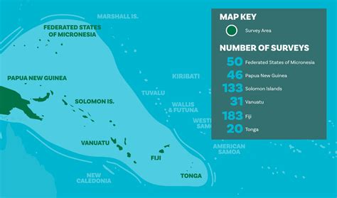 COVID-19 Community Impacts | LMMA Network International