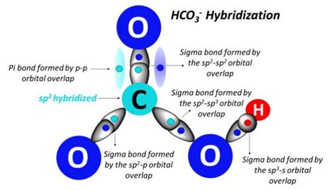 HCO3- lewis structure, molecular geometry, bond angle, hybridization