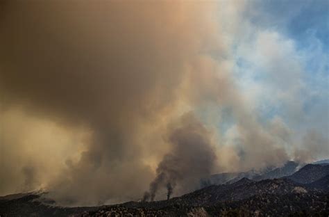 Climate Change Blamed for Half of Increased Forest Fire Danger - The ...