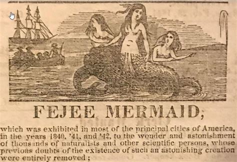 Maryland Museum Investigates Mythology of Mermaids | VT Foreign Policy