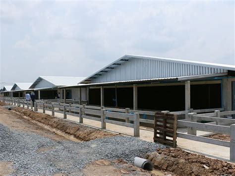 pig farm design | Farm design, Pig farming, Timber house