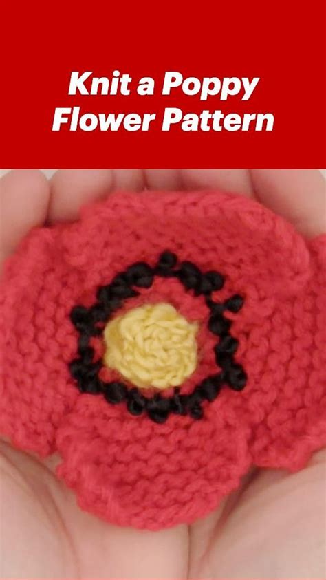 Knit a Poppy Flower Pattern: An immersive guide by Studio Knit - Best Knitting Patterns