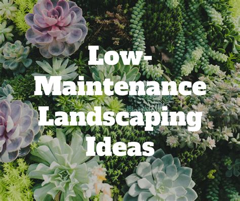 Low-Maintenance-Landscaping-Ideas - NOVA Landscape & Design