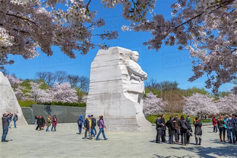 View of the Martin Luther King Jr. Memorial and cherry blossom trees in Spring, Washington D.C ...