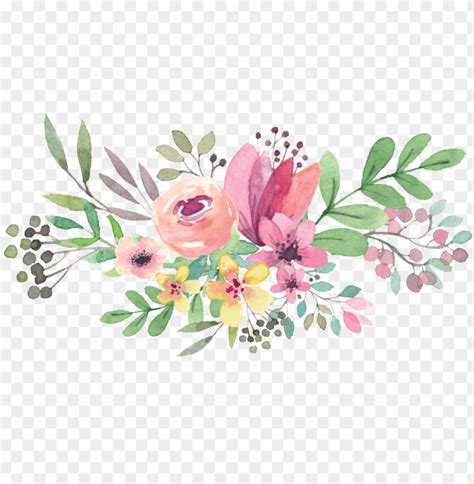 Transparent Watercolor Flowers PNG Transparent With Clear Background ID ...