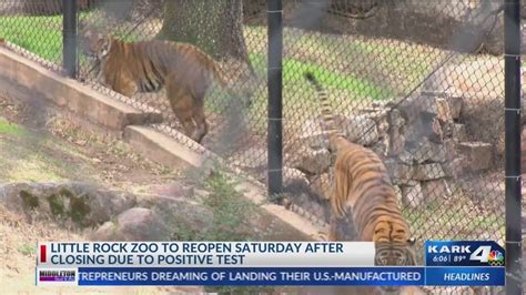 Little Rock Zoo to reopen Saturday, July 11 - YouTube