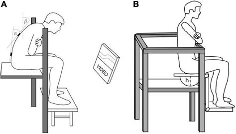 Frontiers | The Effects of Intermittent Trunk Flexion With and Without Support on Sitting ...