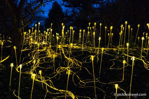 Winter Light at Minnesota Landscape Arboretum • Pickles Travel Blog | Eco-Friendly Living