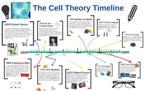 Cell Theory Diagram