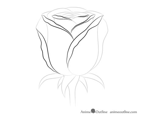 How To Draw Rose Petals / The rose is made of petals (1), sepals (3), leaves (4) and a stem (5).