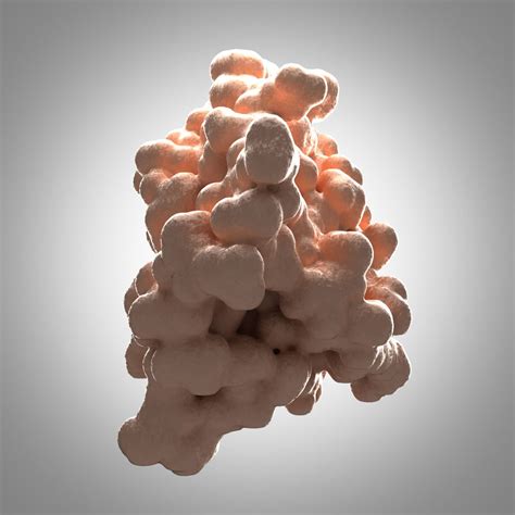 3d Leptin Satiety Hormone