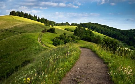 Green Fields Wallpaper,HD Nature Wallpapers,4k Wallpapers,Images,Backgrounds,Photos and Pictures