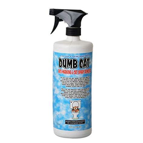 Bangerz Sunz Dumb Cat Pet Odor Eliminator, Cat Pee Deterrent Spray, Cat ...