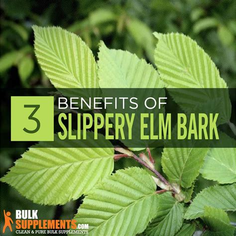 Slippery Elm Bark: Benefits, Side Effects & Dosage