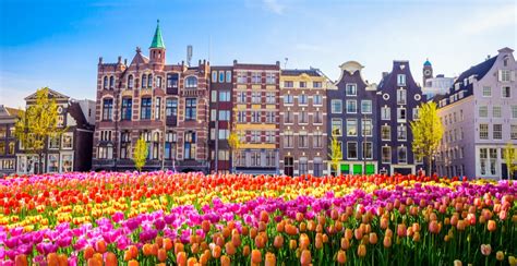 You can fly to Amsterdam from Edmonton for just $700 right now | News