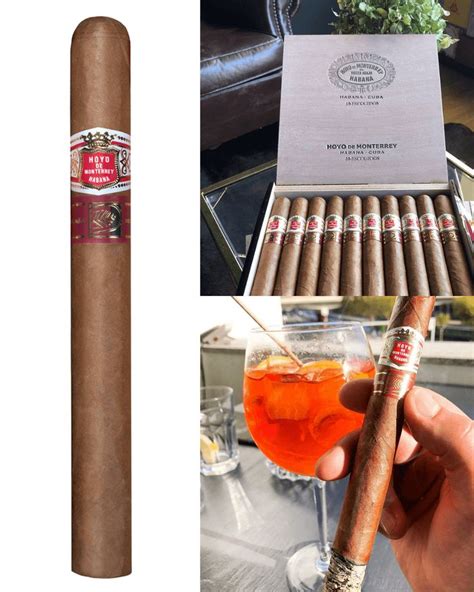 Top 10 Best Cuban Cigars of 2020 (August 2023) - All Things Cigars ...