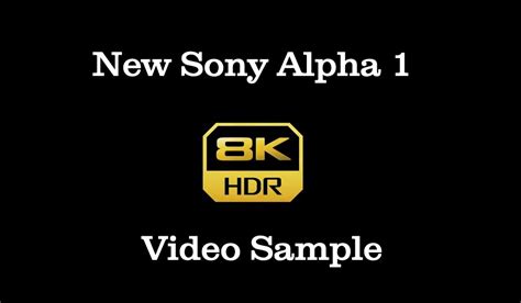 Sony a1 Alpha Camera 8K Sample Video - Camera Ray