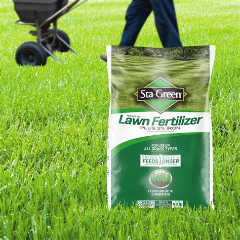 What The Best Fertilizer For Grass | Storables