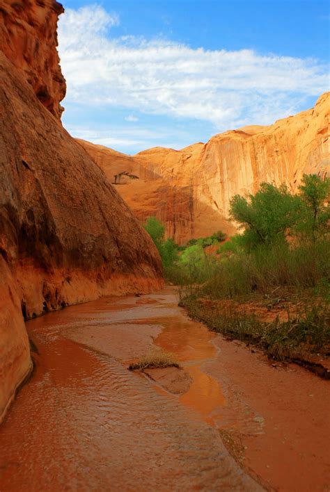 Southern Utah Day HIkes: Coyote Gulch