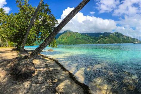 4 Best Beaches In Moorea You Can't Miss