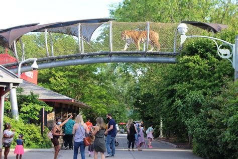 Discover America's First Zoo – Philadelphia Zoo