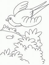 Coloring Pages Of Birds Flying sketch template